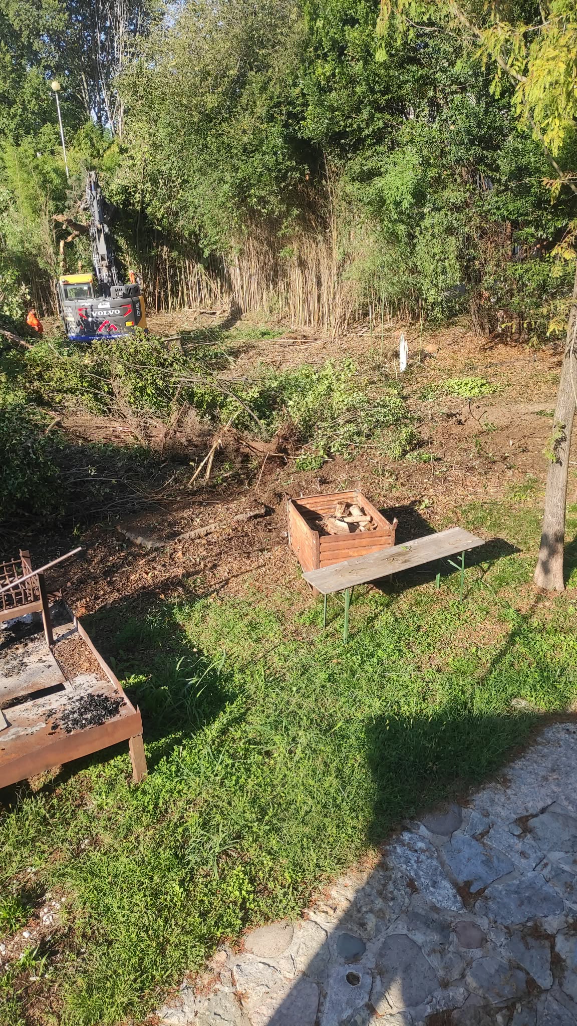 Foto del danno