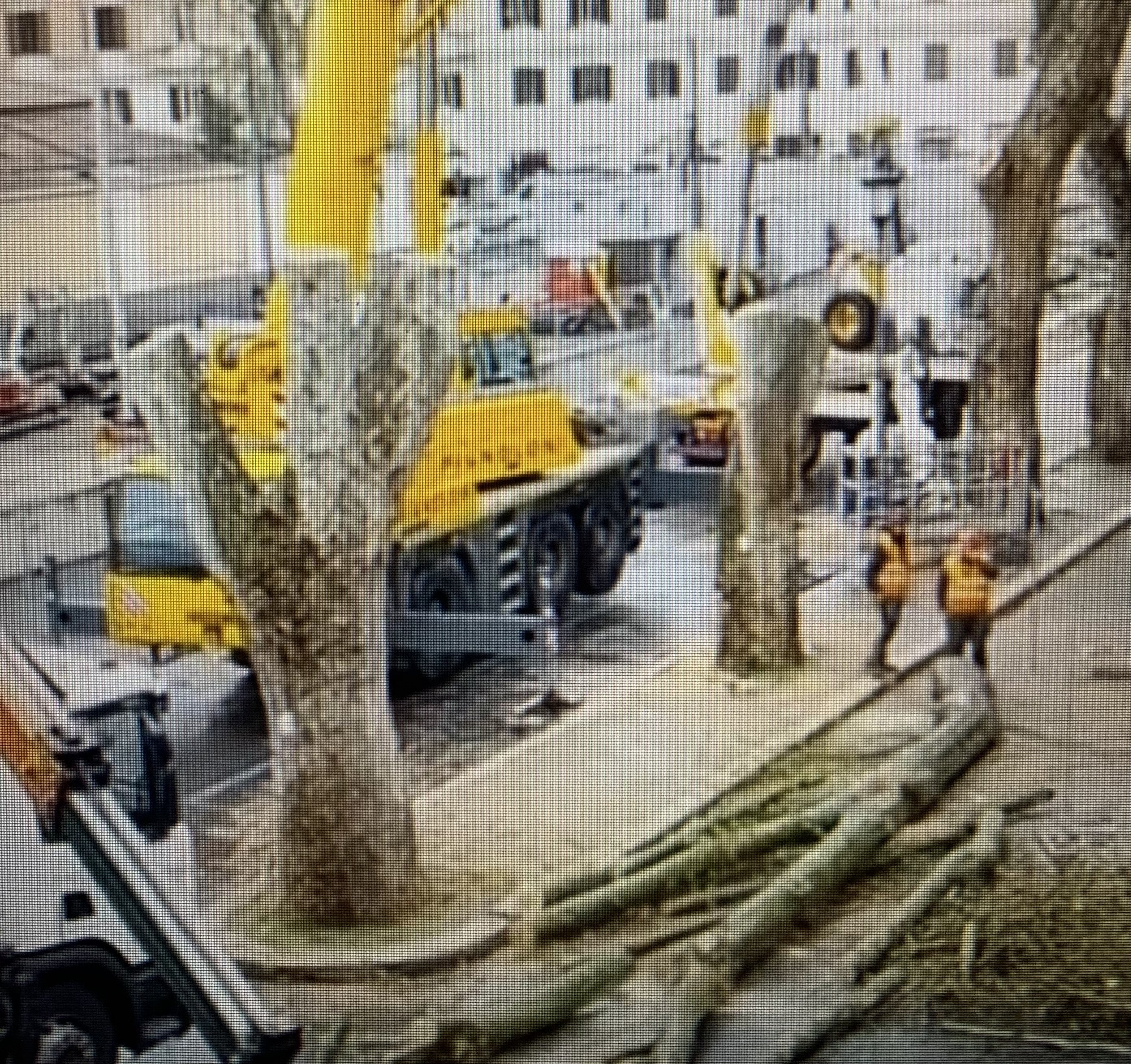Foto del danno