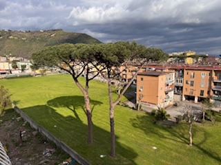 Foto del danno